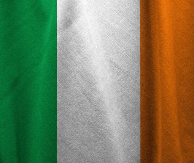 Opiekunka z zamieszkaniem j.angielski