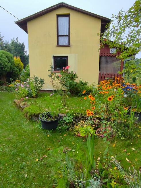 Działka rekreacyjna ROD w Bielsku - Białej