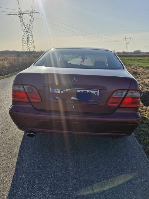 Mercedes CLK