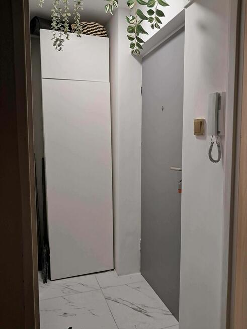 Wynajmę kawalerkę w centrum Wrocławia