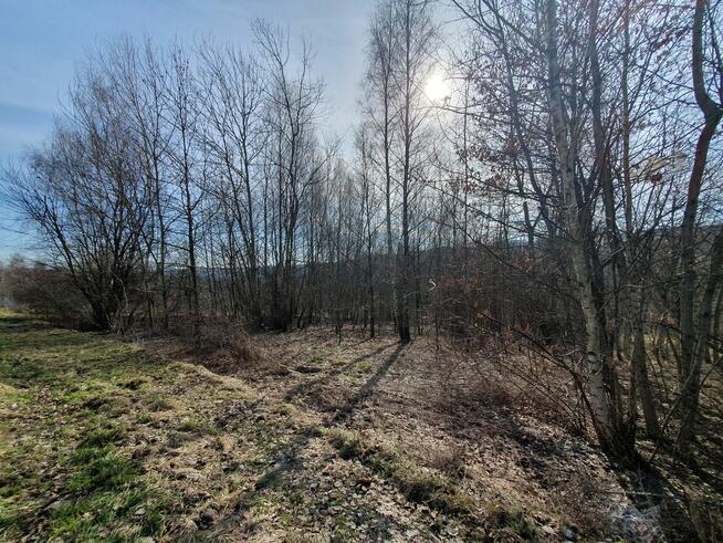 Działka budowlana Golkowice | 12 km od centrum Krakowa