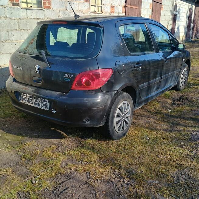 Czesci Peugeot 307 1.4 benzyna 2004 rok.