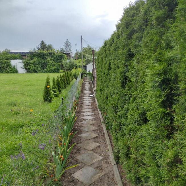 Działka ROD z domkiem 2026 – Aleksandrów