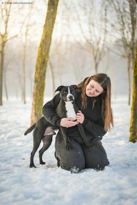 Hektor-czarno biały pies czeka na swiadomy dom