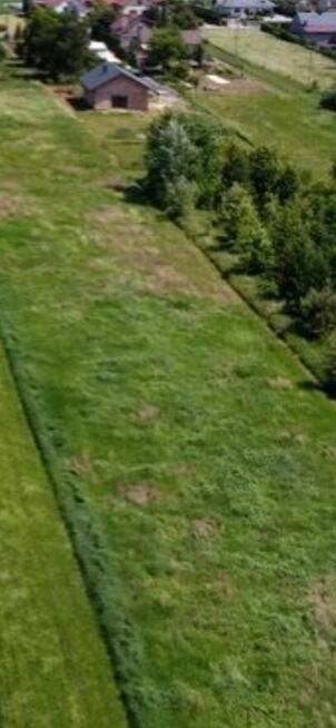 Działka * SPRZEDAŻ * Wola Mielecka*gm. Mielec *5594m2