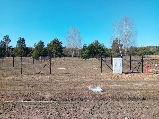 Wynajme dzialke rekreacyjna w okolicach Spały