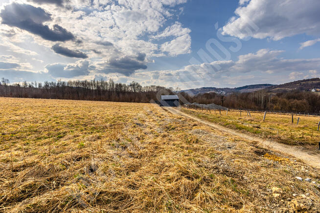 Budzów budowlana działka 3550 m2-idealna pod domy!