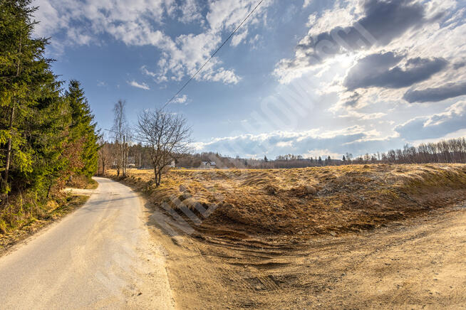 Budzów budowlana działka 3550 m2-idealna pod domy!