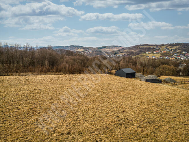 Budzów budowlana działka 3550 m2-idealna pod domy!