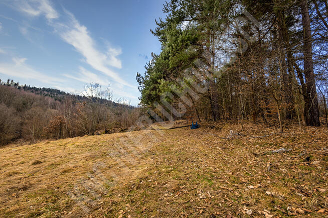 Krzeszów – działka budowlana 870 m2. Polecamy!