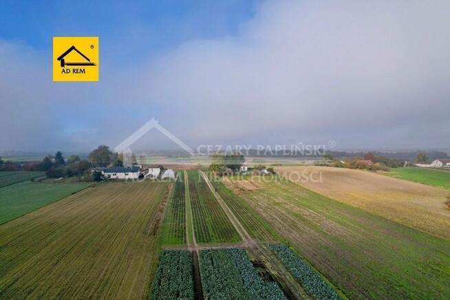 Działka budowlana Zezulin Niższy gm. Ludwin, Zezulin