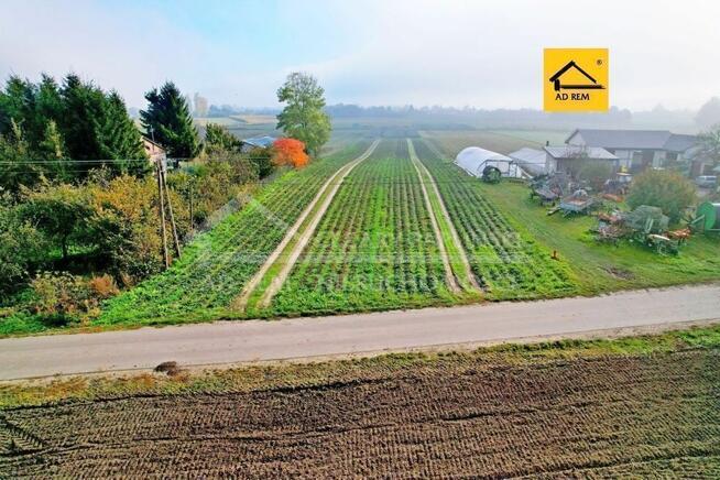 Działka budowlana Zezulin Niższy gm. Ludwin, Zezulin