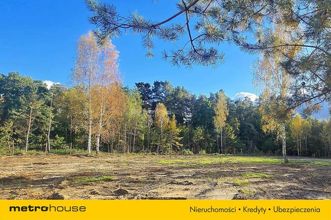 DUŻA DZIAŁKA NA GRANICY LASU Z WARUNKAMI ZABUDOWY