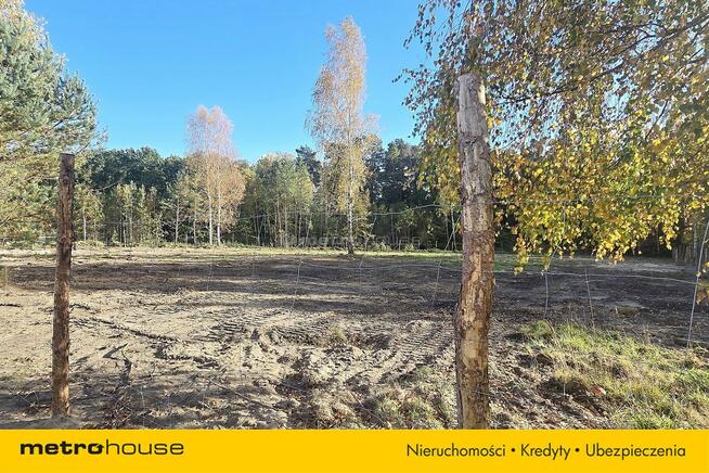 DUŻA DZIAŁKA NA GRANICY LASU Z WARUNKAMI ZABUDOWY