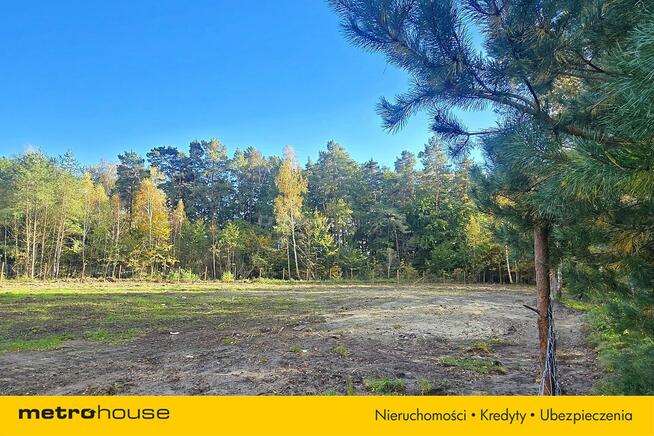 DUŻA DZIAŁKA NA GRANICY LASU Z WARUNKAMI ZABUDOWY