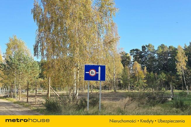 DUŻA DZIAŁKA NA GRANICY LASU Z WARUNKAMI ZABUDOWY