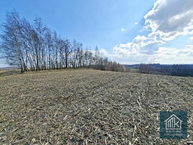 Działka budowlana Bodzanów gm. Biskupice,