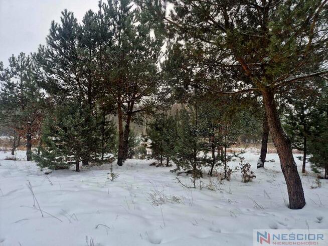 Działka rolno-leśna – idealna pod dom letniskowy