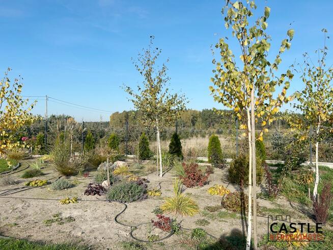 Dom Rejowiec gm. Skoki,