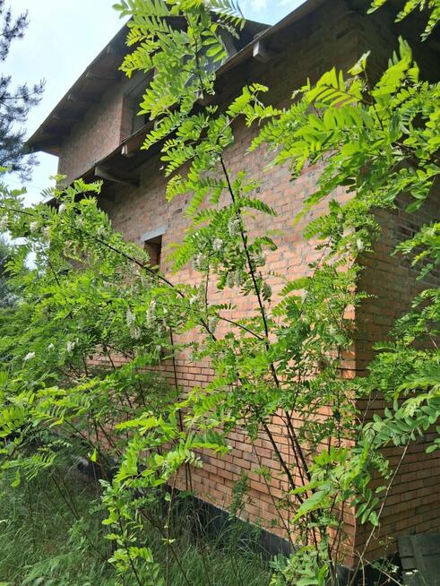 Dom Wagowo gm. Pobiedziska, Wilcza