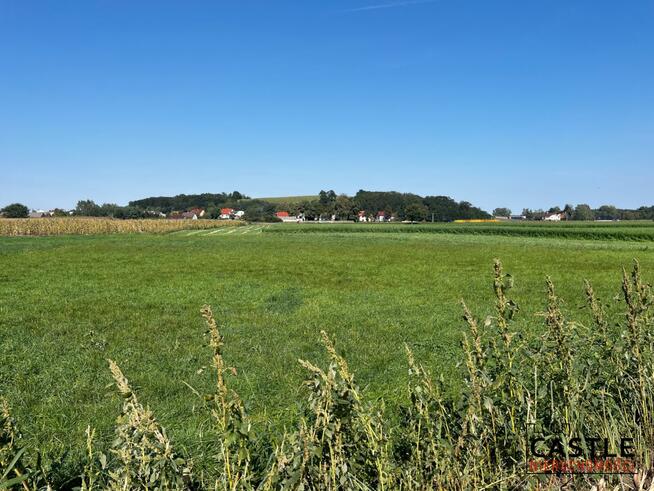 Działka budowlana Gostyń,