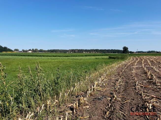 Działka budowlana Gostyń,
