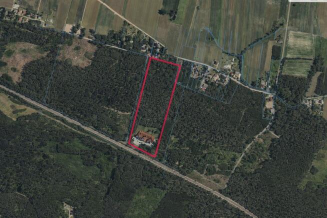 DZIAŁKA BOROWICE (5,81 ha) POD RESTAURACJĘ / HOTEL