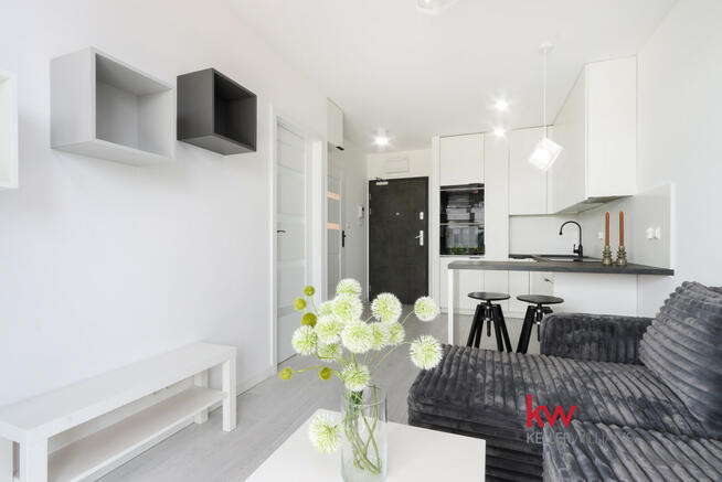 Mieszkanie Poznań gm. Poznań-Stare Miasto Winogrady, Wilczak