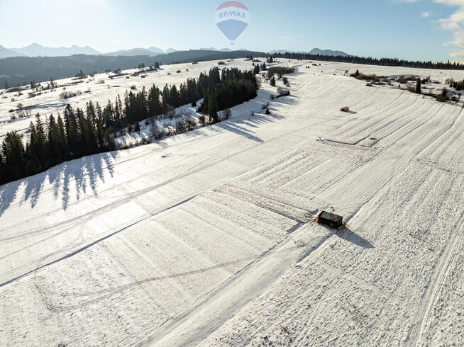 MAŁA DZIAŁKA ROLNA W WITOWIE