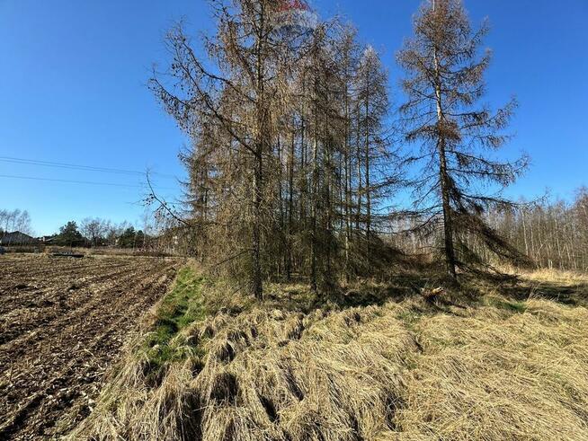 Działka budowlana 5436 m² Łuków Śląski