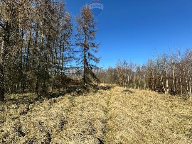 Działka budowlana 5436 m² Łuków Śląski