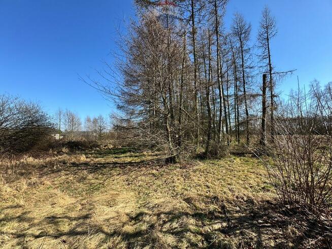 Działka budowlana 5436 m² Łuków Śląski