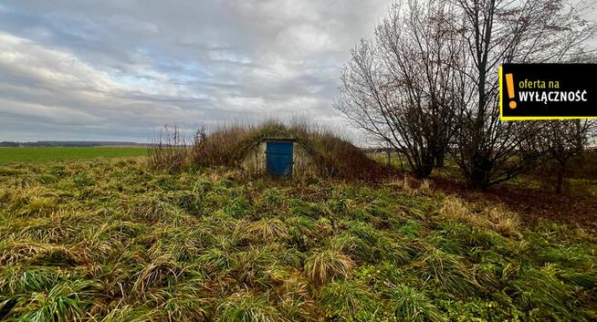 Dom Olszownica gm. Baćkowice,