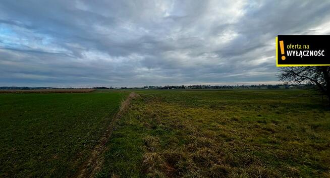 Dom Olszownica gm. Baćkowice,