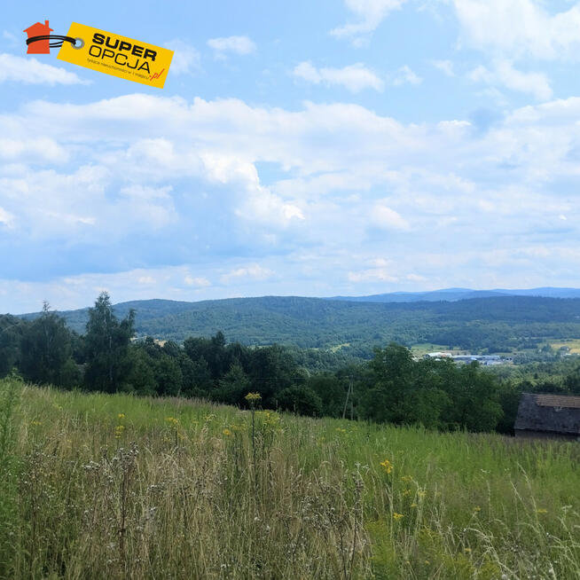 Działka rolna Wola Radziszowska gm. Skawina,