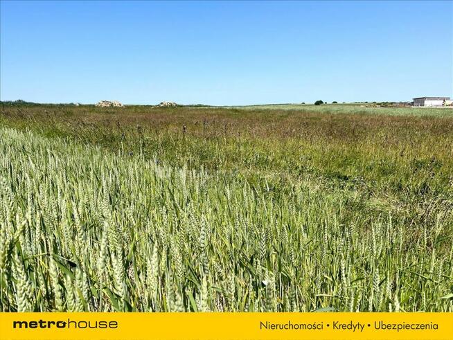 Działka rolna 6 km od morza!