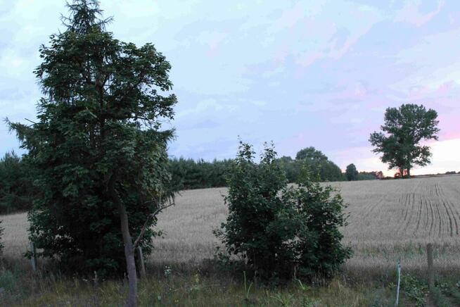 Zamienię warmińsko-mazurskie na śląskie