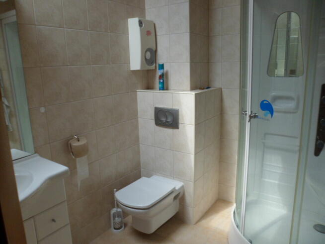 Dom w Aninie, idealny na firmę lub na firmę z zamieszkaniem