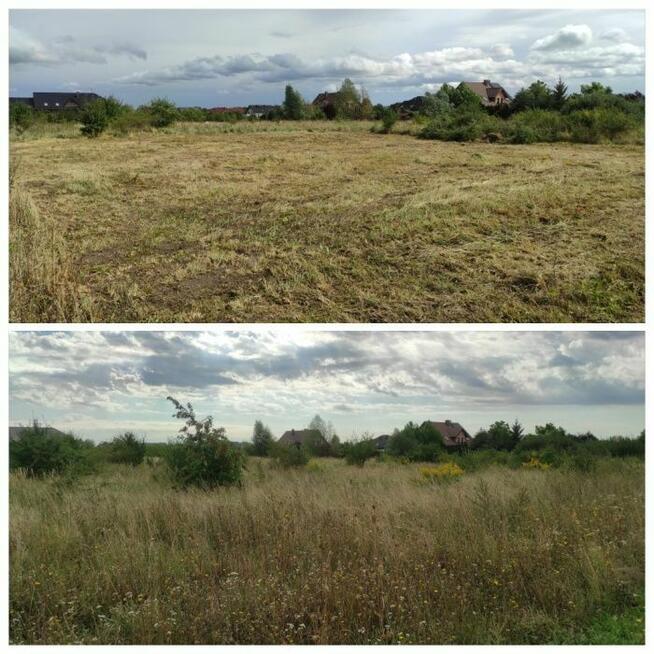 Glebogryzarka Separacyjna Trawnik Równanie Terenu