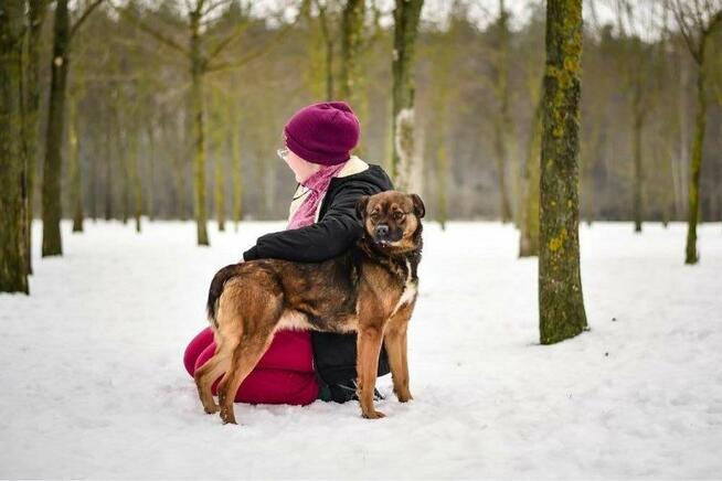 Luna-stabilny i spokojny dom potrzebny dla suczki