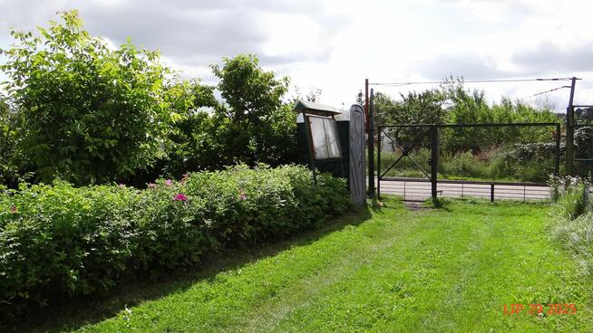 Działka ROD 448m2 Piła ul Różyckiego
