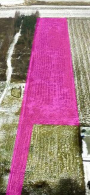 Działka * SPRZEDAŻ * Wola Mielecka*gm. Mielec *5594m2