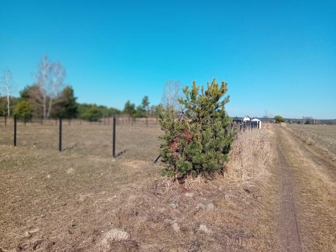 Wynajme dzialke rekreacyjna w okolicach Spały