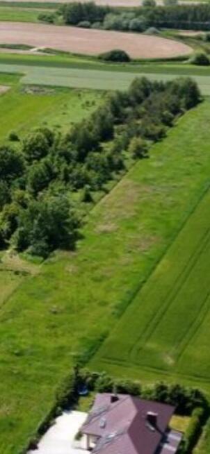 Działka * SPRZEDAŻ * Wola Mielecka*gm. Mielec *5594m2