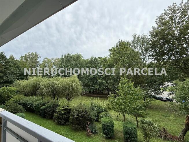 M4 I piętro wolne od zaraz