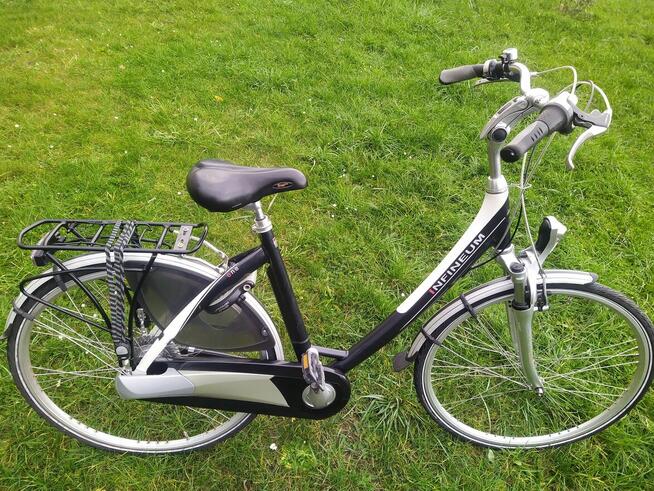 Rower damka Infineum 28 Alu Nexus