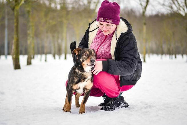 Boguś-starszy psiak, pokochaj podaruj dom