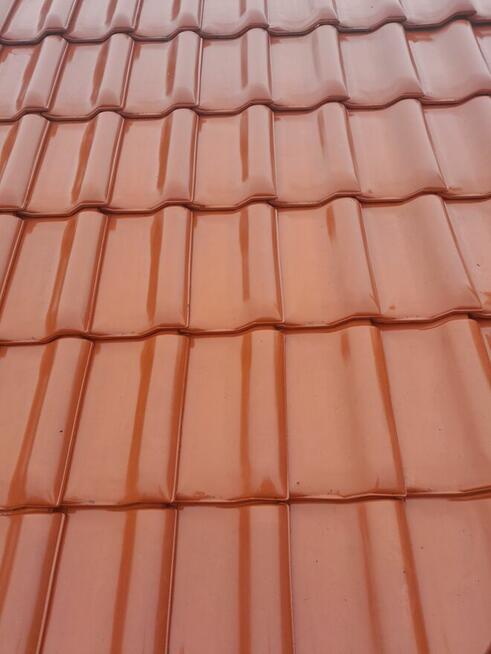 Mycie oraz malowanie dachów