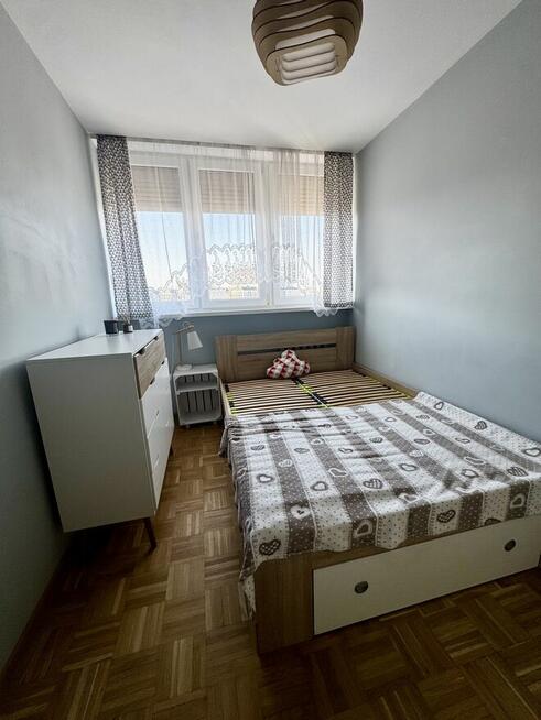 2 pokoje ul. Głogowska Wrocław (bezpośrednio)