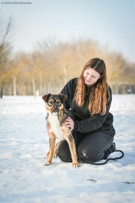 Polina-nieśmiała delikatna suczka czeka na cierpliwy dom